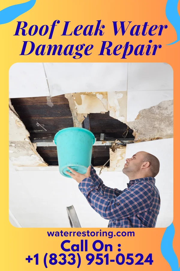 Roof Leak Water Damage Repair in Fairfax, SD