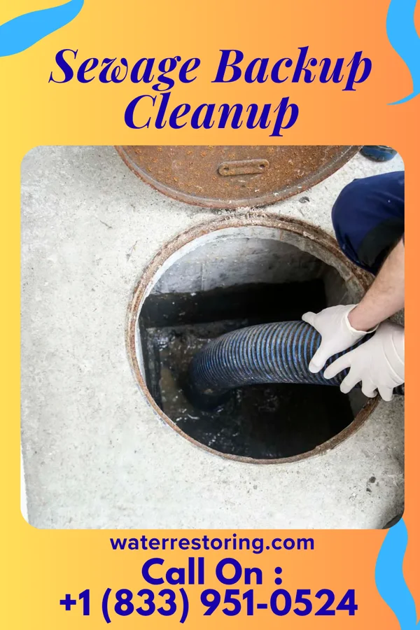 Sewage Backup Cleanup in Fairfax, SD