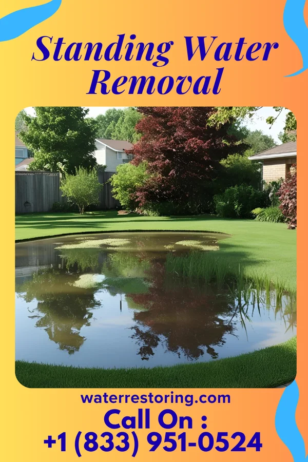 Standing Water Removal in Fairfax, SD